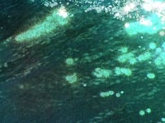 OCEAN 1